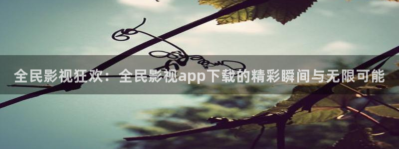 桃花影视