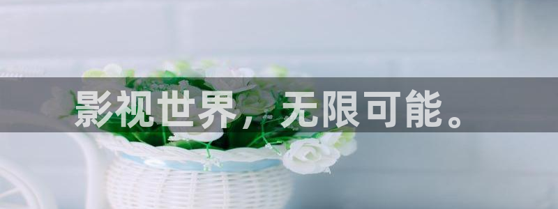 桃花影院入口网站