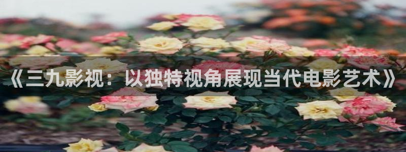 棋士电视剧免费观看完整版桃花影院